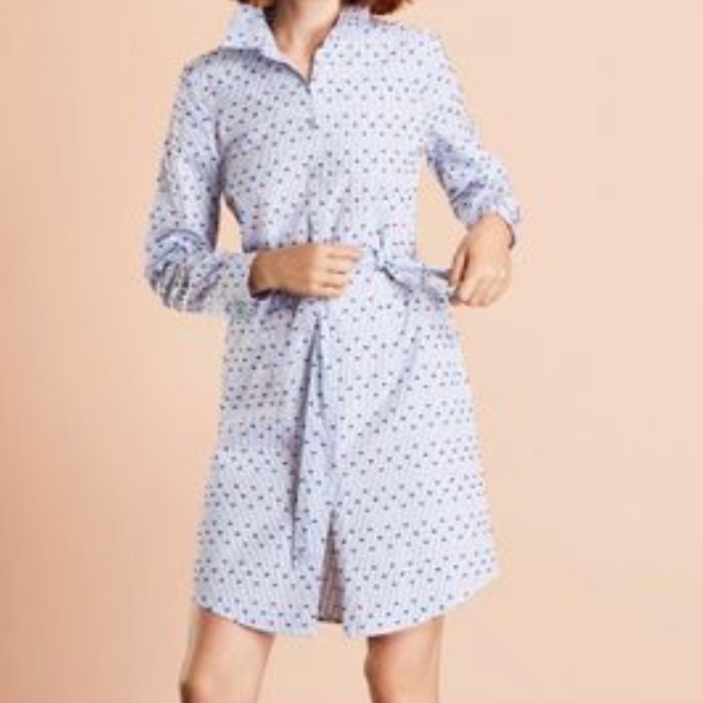 Brooks Bros. Vintage Striped Clip-dot Cotton Dobby Shirt Dress Sz 2